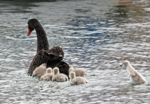 Don't leave me behind