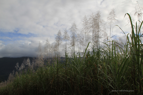 One Four Nov Wk1 - svtakeiteasy