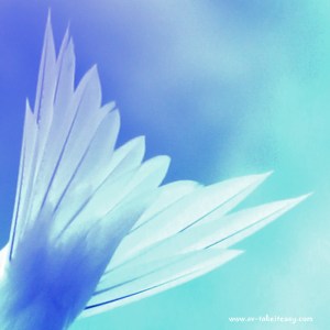 December Week 2 : Watercolour