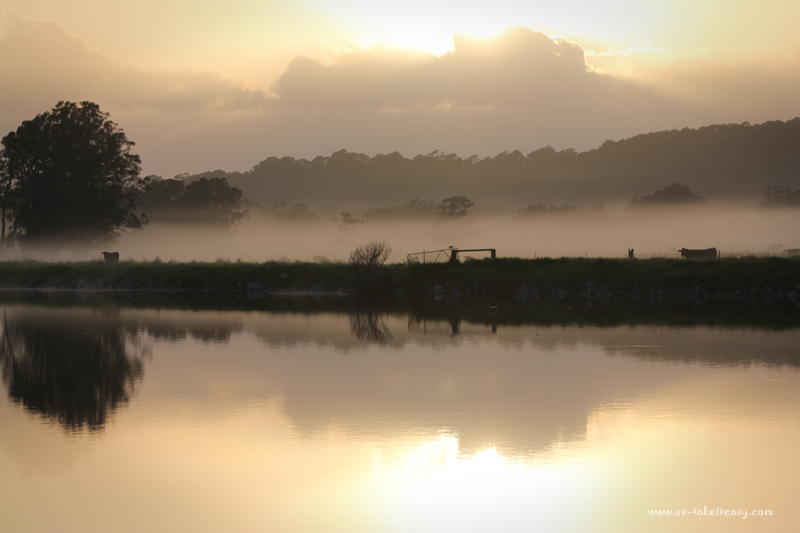 Moruya Dawn Mist