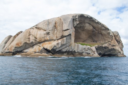 Cleft Islad, Skull like