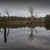 Banyule Flats