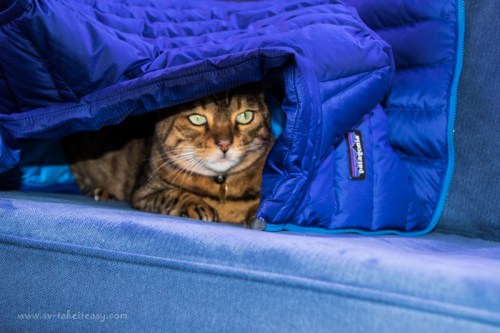 On board Take It Easy, but under cover!