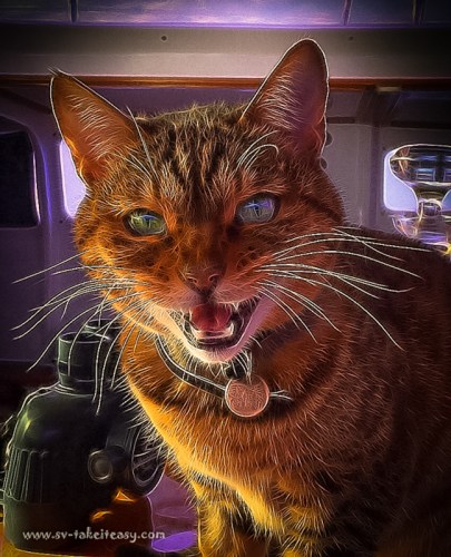 Bengie Week Two: Tangled Effects