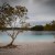 Lake McKenzie