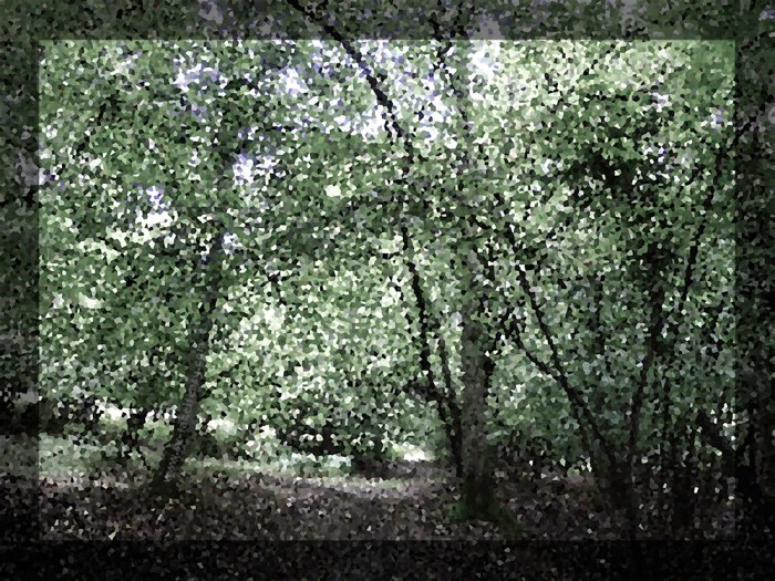 October Week Three : Brave Hopes