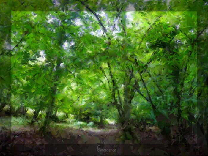 October Week Four - Emergence