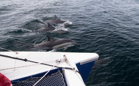 Bittangabee to Lakes Entrance-5