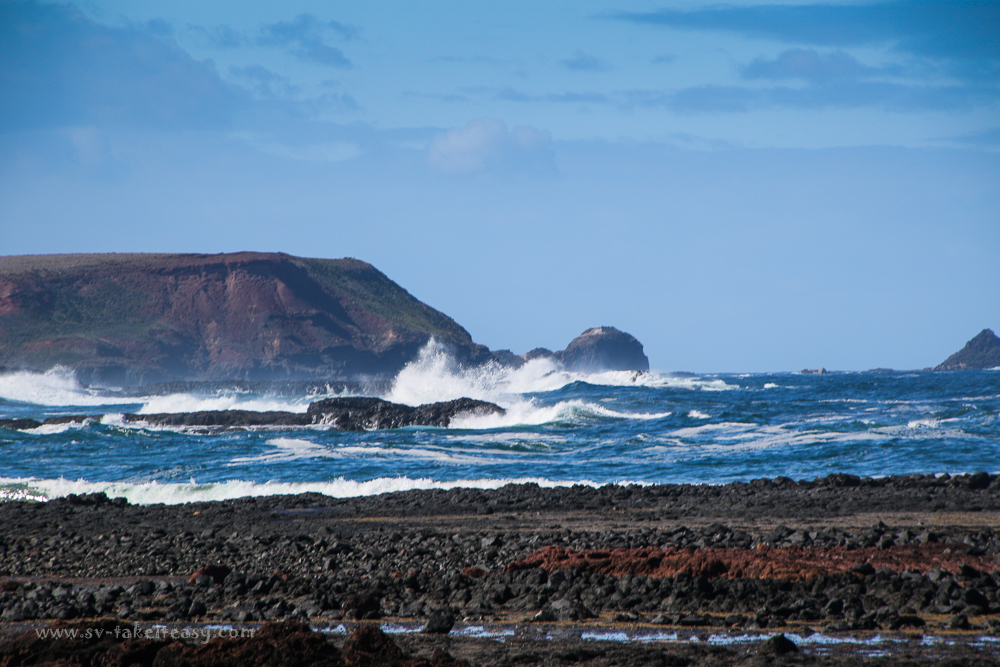 Wild Dog Bluff, Phillip Island