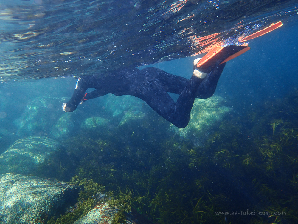Snorkeling at Little Waterloo Bay
