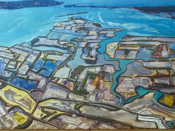 guerande-salt-marshes-2