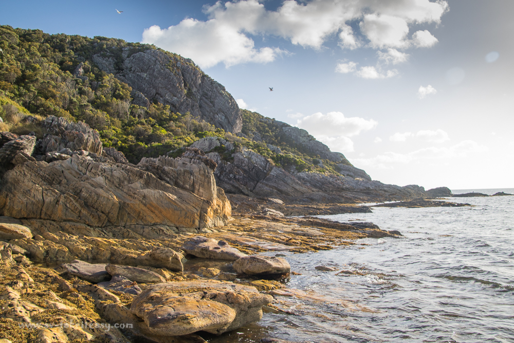 Rugged shores of Hunter Island