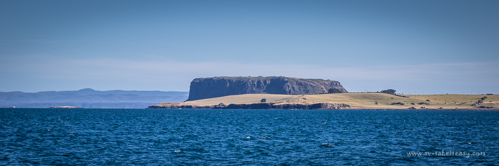 Stanley's Nut from the ocean