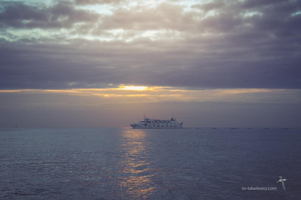 Queenscliff ferry at dawn