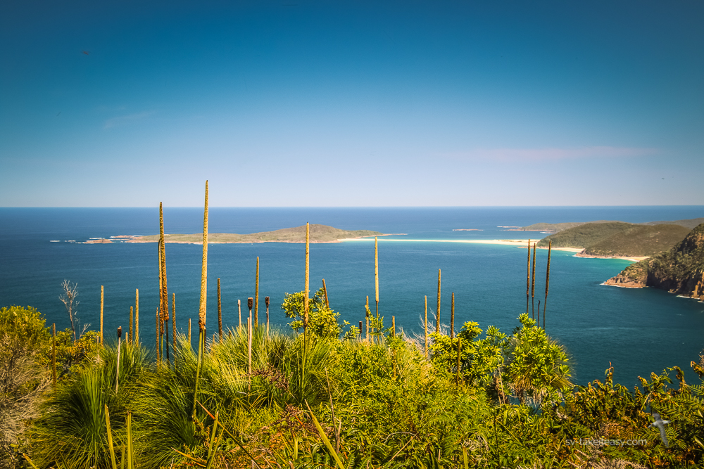 Fingal Bay from Yaccaba Head