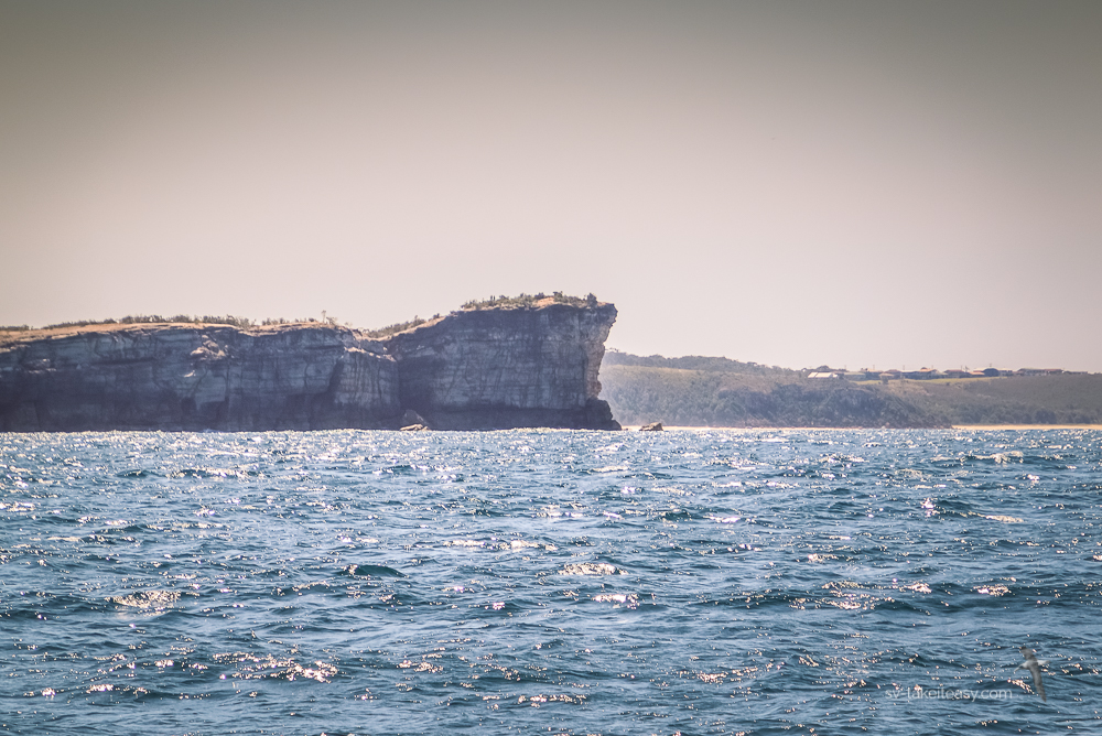 Perpendicular Point, Camden Haven