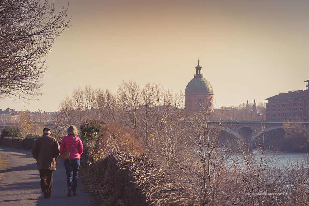 Toulouse along the Garonne