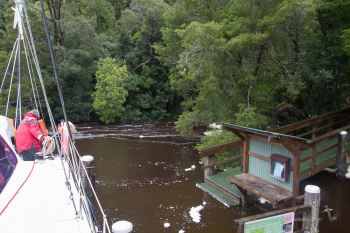 TAS 2018 - Gordon River - -2437