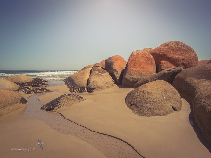 TAS 2018 - Hunters-3060004.jpg