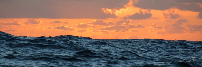 TAS 2018 - King Is.-1396