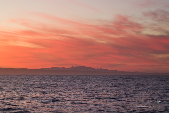 TAS 2018 - West Coast-1743.jpg