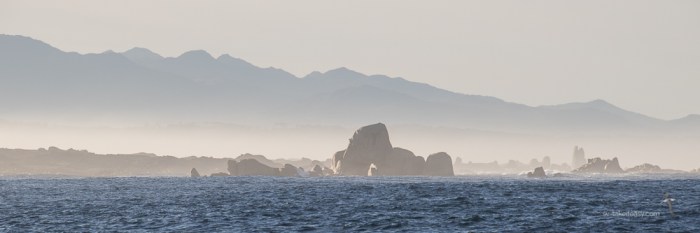 TAS 2018 - West Coast-1764