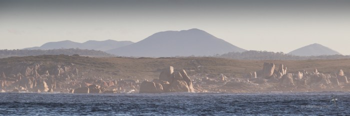 TAS 2018 - West Coast-1776.jpg