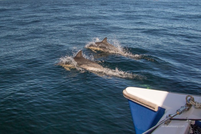 TAS 2018 - West Coast-1873.jpg