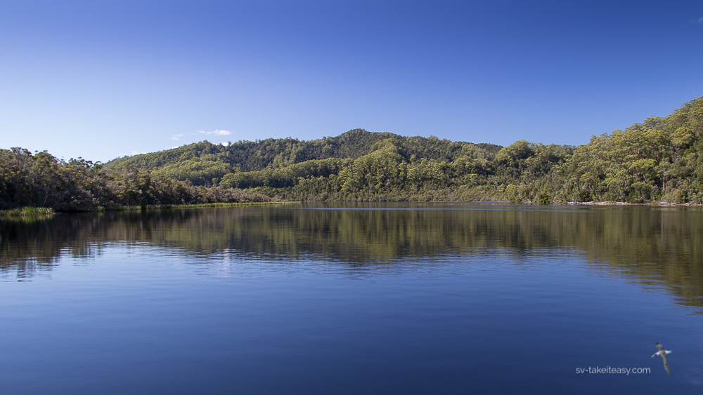 Gordon River Reflections
