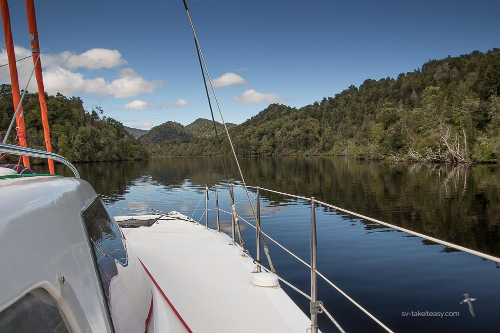 Up the Gordon River