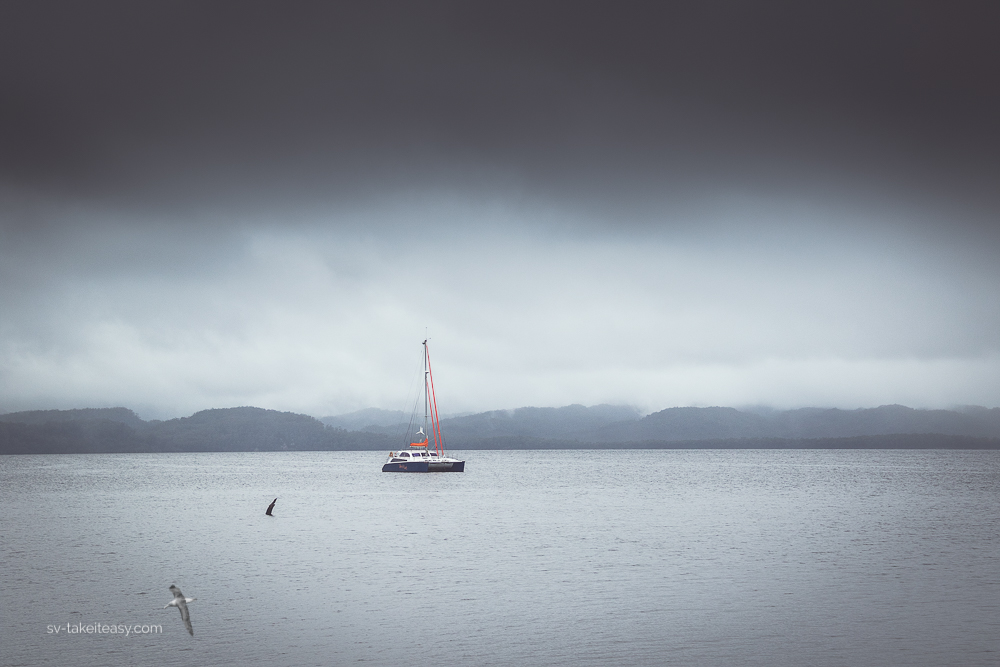 Take It Easy at Sarah Island