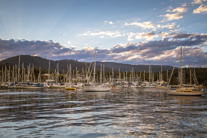 TAS2018 - D'Entrecasteaux-3519