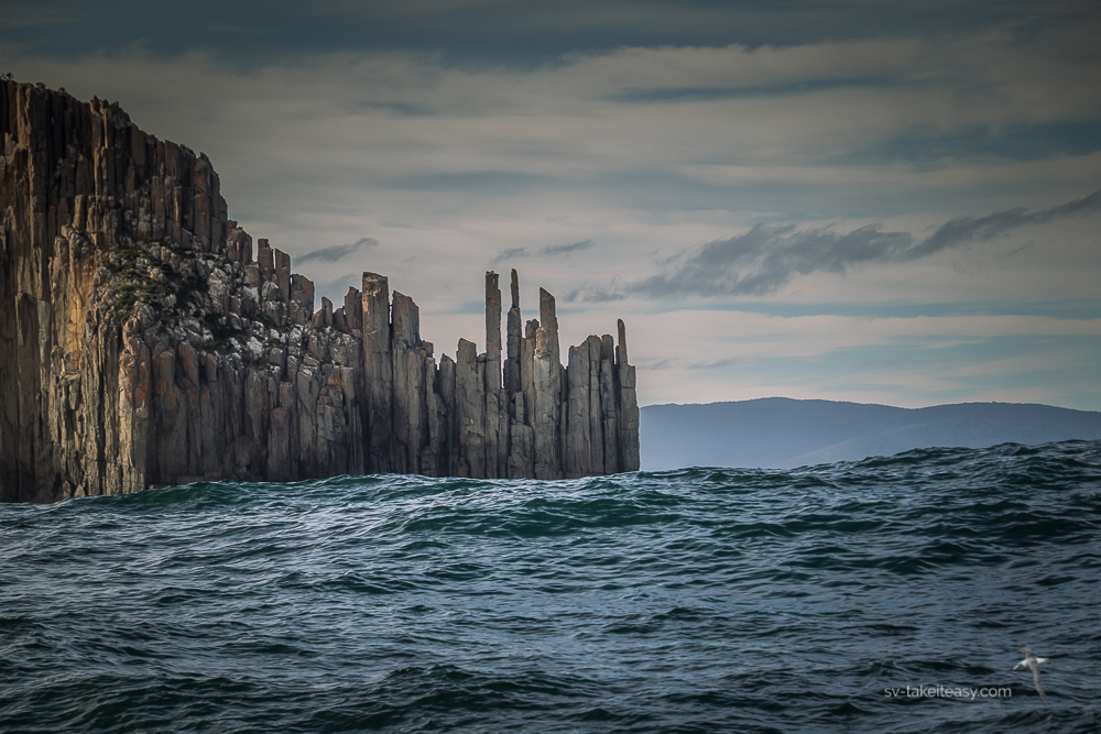 Cape Raoul in the swell