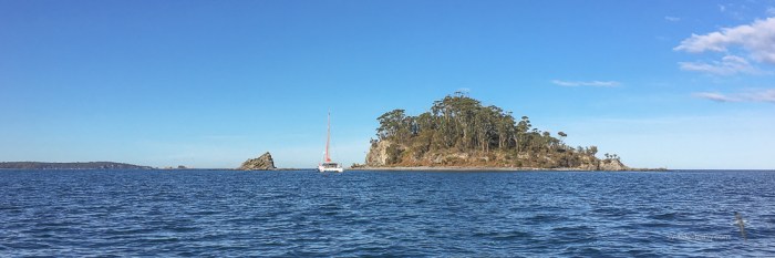 Snapper Island, Batemans Bay