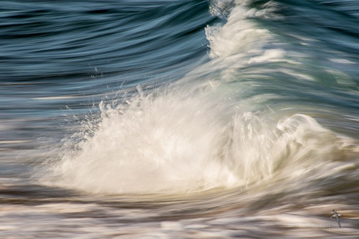 Gippsland Lakes-4803