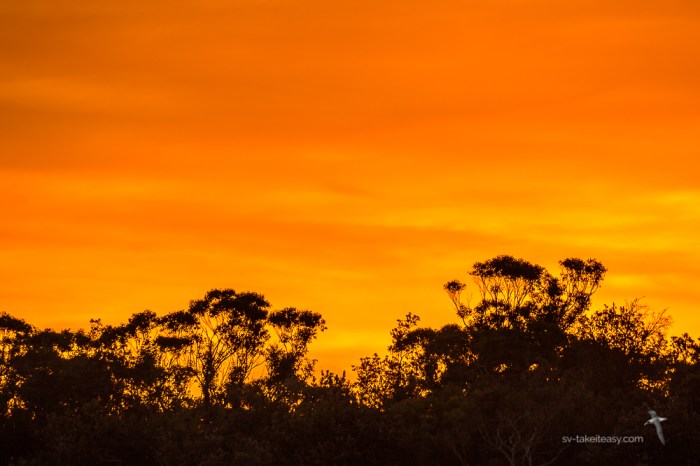 Gippsland Lakes -4874