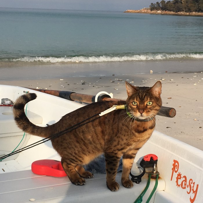 2018-04-21 08.56.22 - Bengie