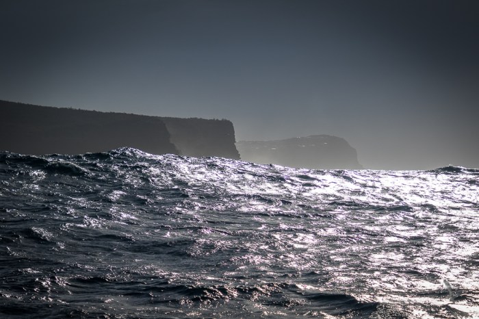 Central Coast -6159.jpg