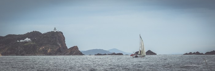 Sailing past Seal Rocks