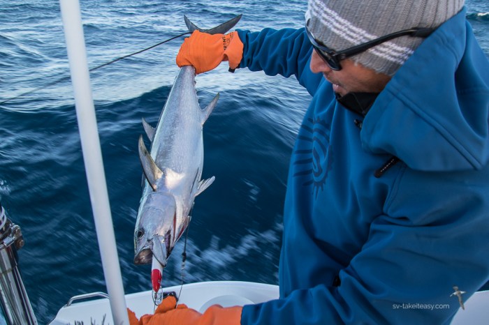 Mid North Coast -6663