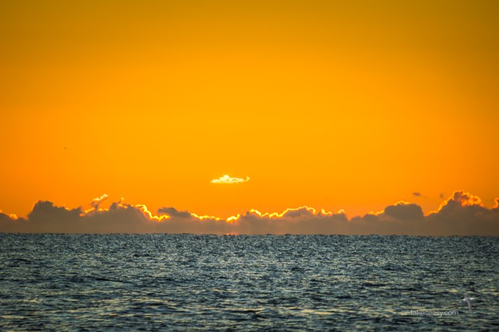 Mid North Coast-6754