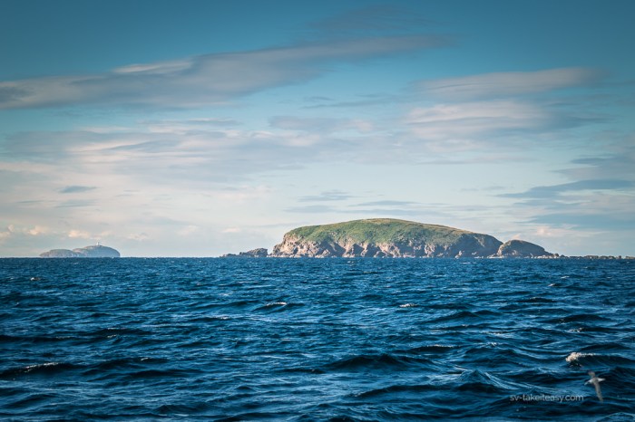 Mid North Coast-6770