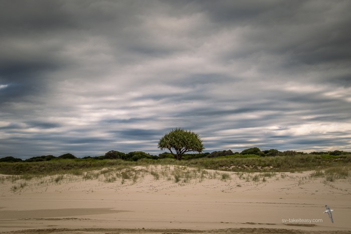 Mid North Coast -6851.jpg