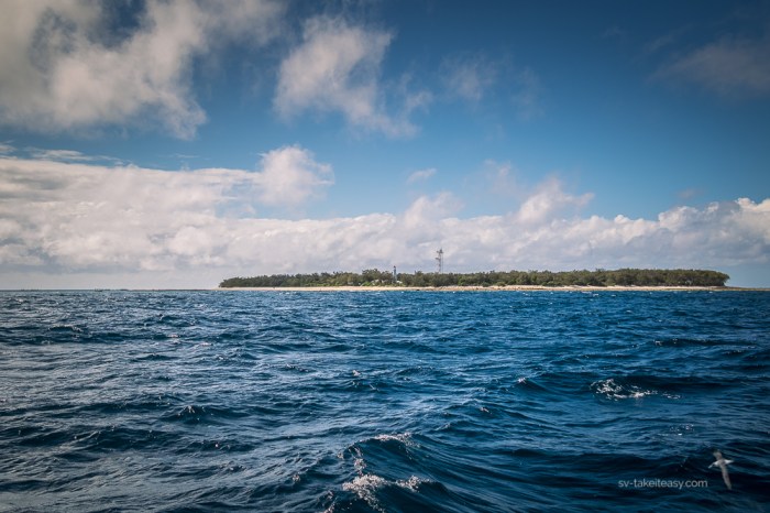 Lady Elliot Island