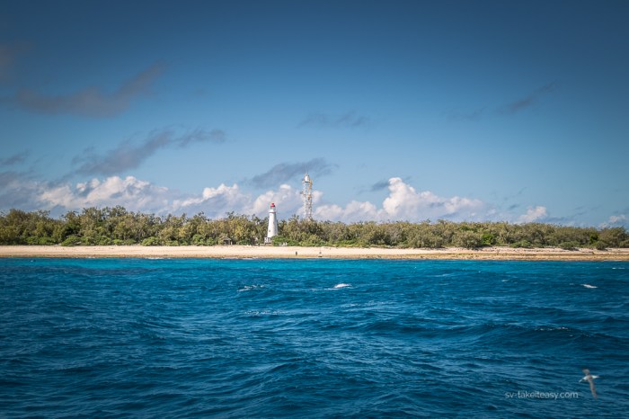 Lady Elliot Island
