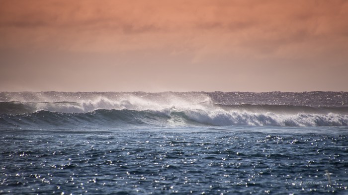 Breaking waves over the reef at Lady Elliot Island