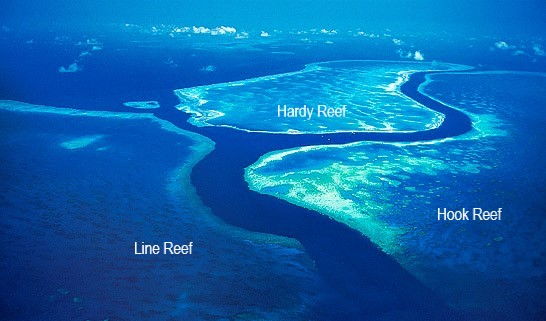 aerial-hook-hardy-line-reefs
