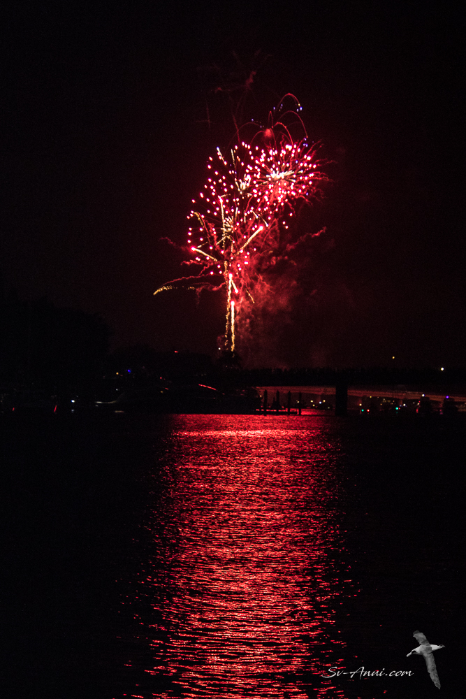 New Year --1648