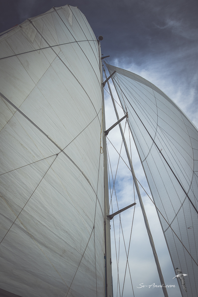 passage to port macquarie -1765