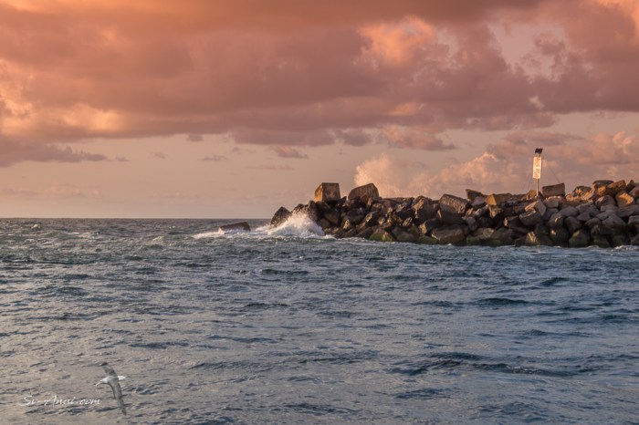 Coffs to Yamba -2027